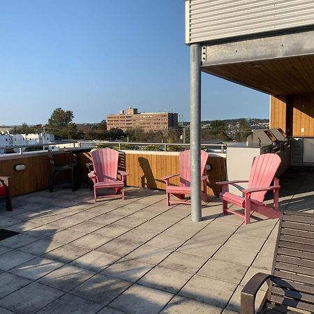 Tasteful Apt #108, Shared Rooftop Area Daire Halifax Dış mekan fotoğraf